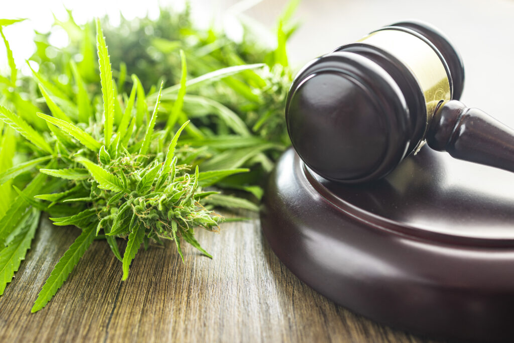 Ein Gerichtshammer und eine Cannabisblüte sind im Bild zu sehen.