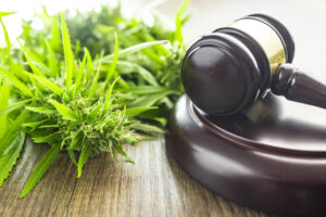 Ein Gerichtshammer und eine Cannabisblüte sind im Bild zu sehen.